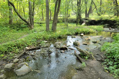Sica Hollow State Park