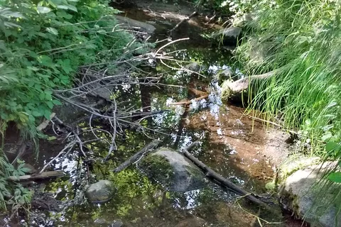 Sica Hollow State Park