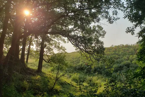 Sica Hollow State Park