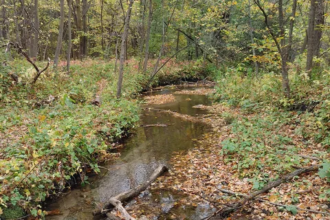 Sica Hollow State Park