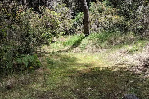 Woodside Lower/Upper - Salt Point State Park