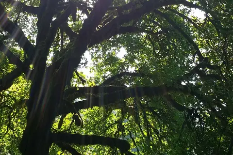 Cresap Bay Park Pacificorp