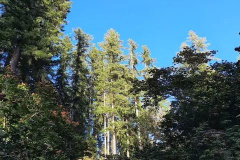 Cresap Bay Park Pacificorp