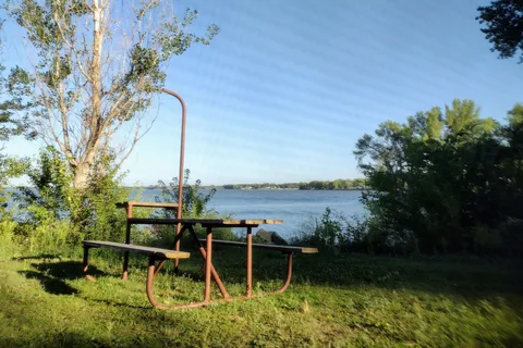 Willow - Lovewell State Park