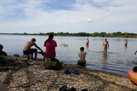 Willow - Lovewell State Park