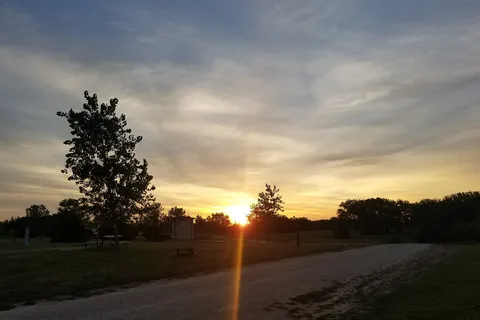 Willow - Lovewell State Park