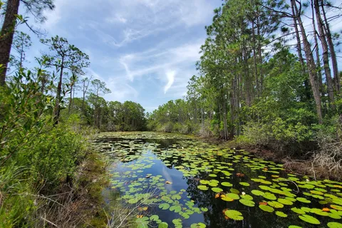 Topsail Hill Preserve State Park Gregory E. Moore RV Resort