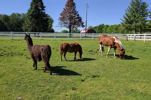Red Barn Campground
