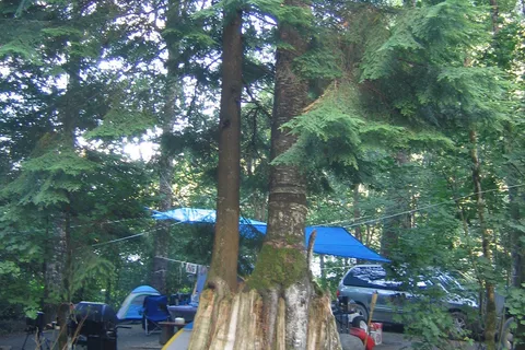 Deer Lake - Sasquatch Provincial Park