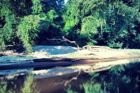 Chunky River Recreation