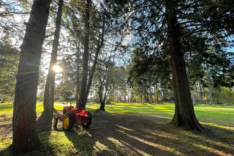 The Park at Crown Isle