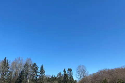 Puntledge RV Campground