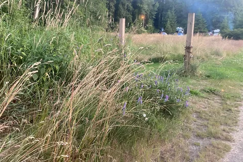 Puntledge RV Campground