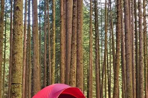 Gold Creek - Golden Ears Provincial Park