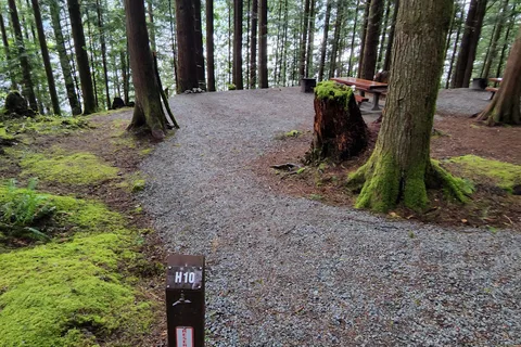 Gold Creek - Golden Ears Provincial Park