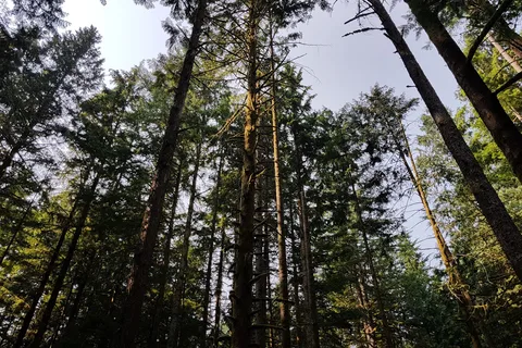 Gold Creek - Golden Ears Provincial Park