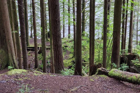 Gold Creek - Golden Ears Provincial Park