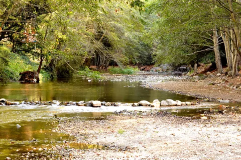 Riverside Campground and Cabins