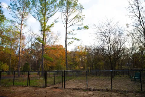 The Pines RV & Cabin Resort