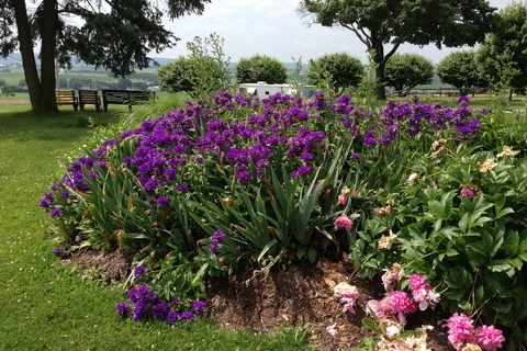 Lancaster / New Holland KOA Journey