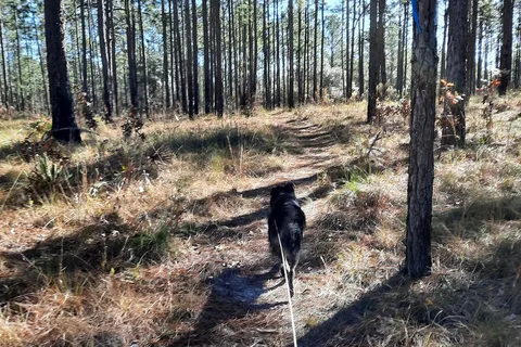 Shangri-La Equestrian Campground