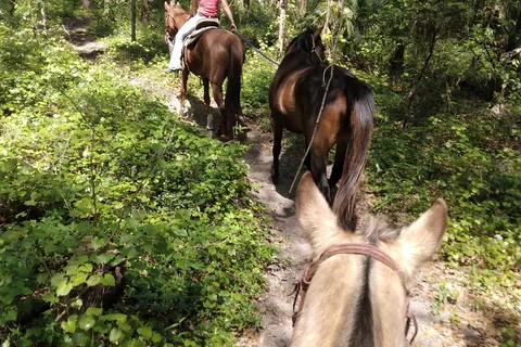 Shangri-La Equestrian Campground