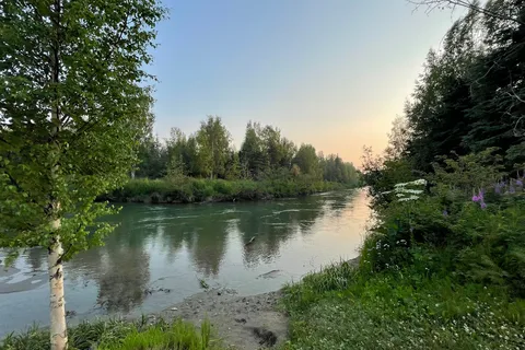 Riverside RV and Camper Park
