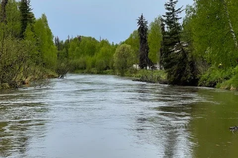 Riverside RV and Camper Park