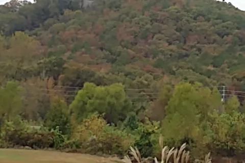 Heber Springs RV Park
