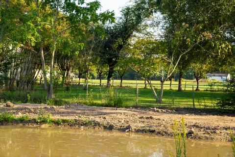 Blue Elbow RV Park