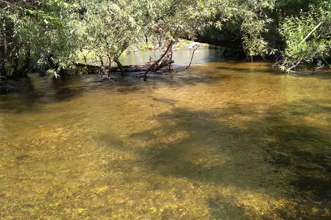 Sunnywoods Campground