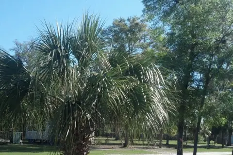 Shady Banks RV Resort
