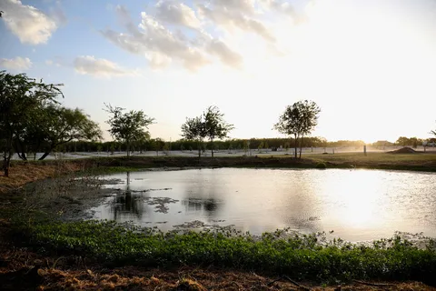 Brazos Trail RV Park