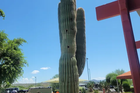 Eagle View RV Resort At Fort Mcdowell