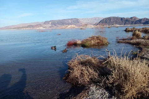 Lake Mead RV Village - Lake Mead National Recreational Area