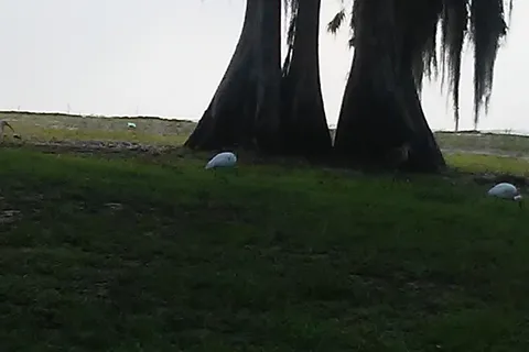 Moonrise Resort