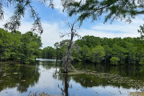 Bistineau RV Park