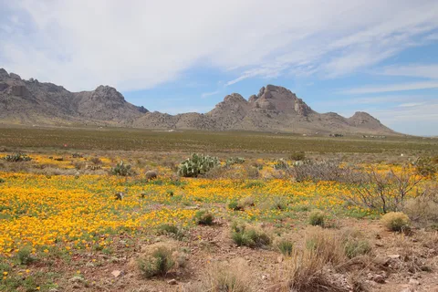 Rockhound State Park