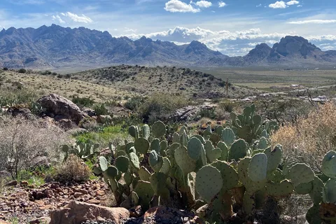 Rockhound State Park