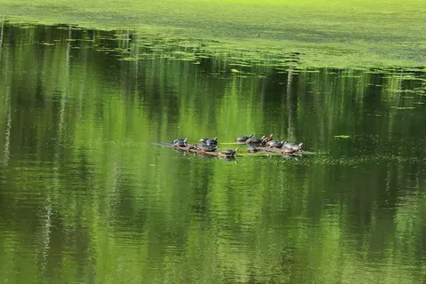 Frances Slocum State Park