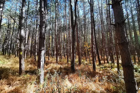 Frances Slocum State Park