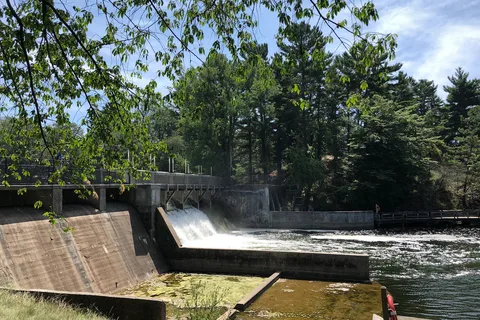 Pines - Ludington State Park