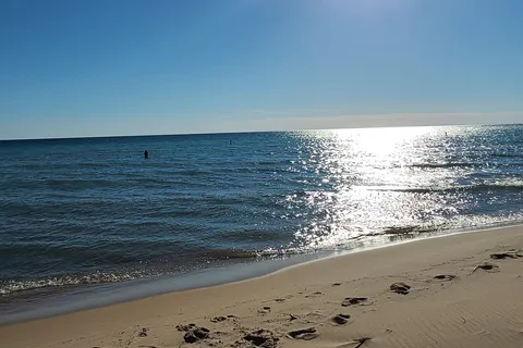 Pines - Ludington State Park