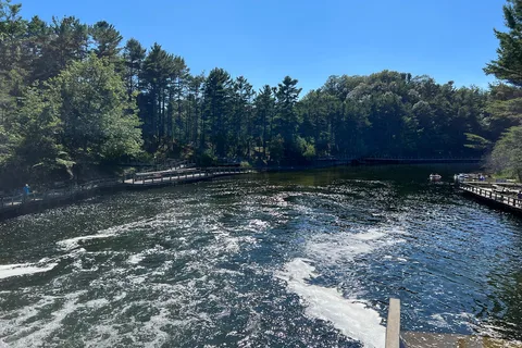 Pines - Ludington State Park