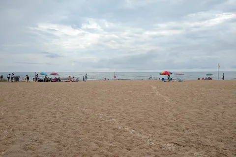 Pines - Ludington State Park