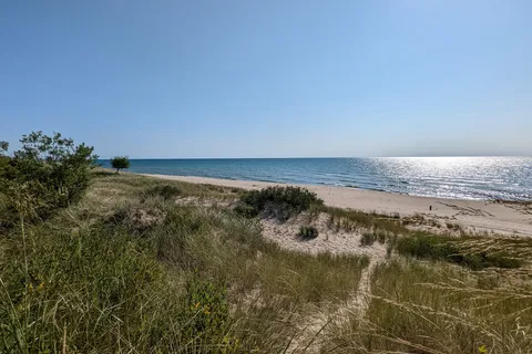 Pines - Ludington State Park