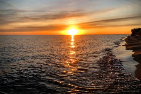 Pines - Ludington State Park