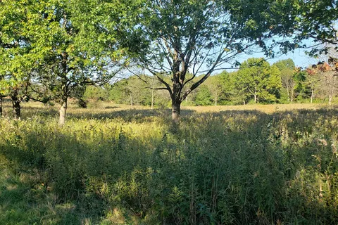 Weldon Springs State Recreational Area