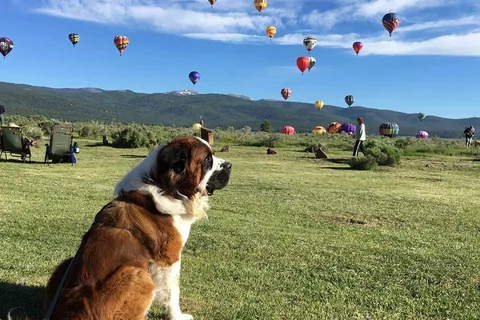 Monte Verde RV Park and Campground
