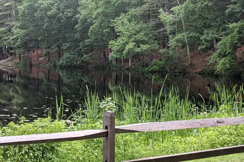 Harold Parker State Forest Lorraine Park